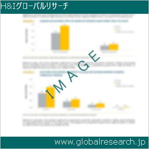 グローバルリサーチ調査レポートのイメージ